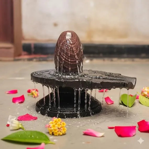 Narmadeshwar Shivling with Jaladhari – Sacred Puja Set